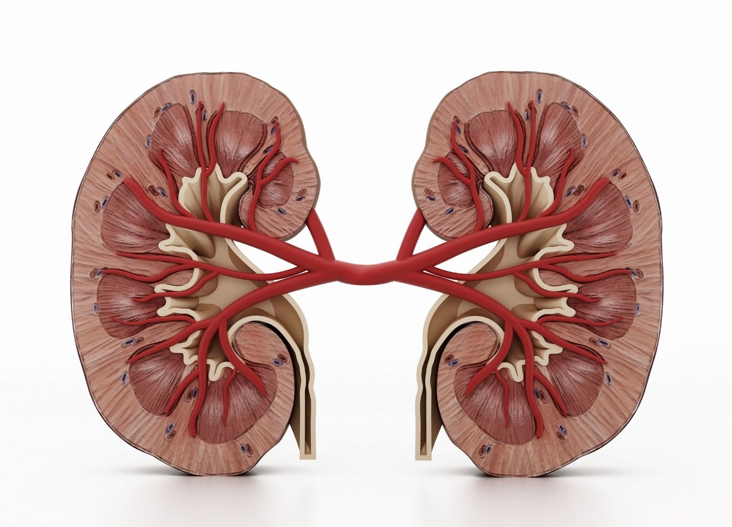 Why is kidney Failure Prevalent in Nigeria?