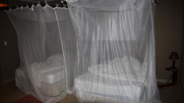 Insecticide-Treated Nets Have Become Less Effective, Study Finds