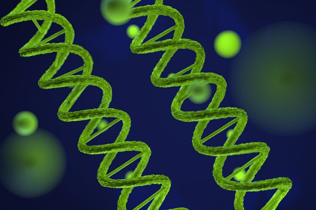 Scientists Generate Complete Human X chromosome Sequence