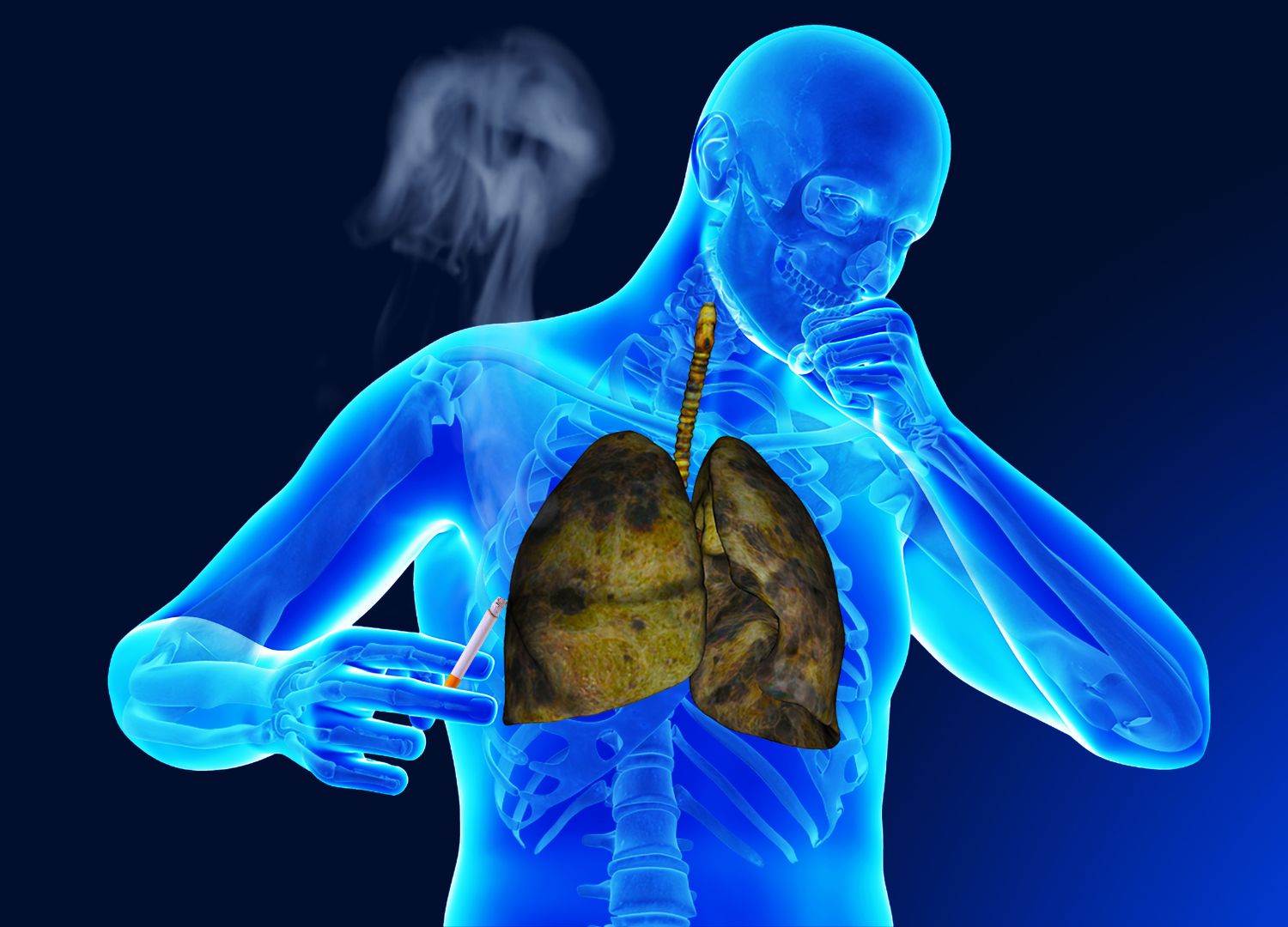 Facts About Smoker s Lungs