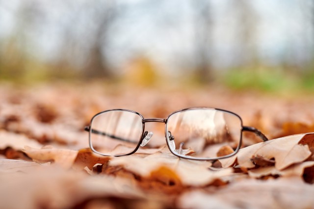 Some Recovery is Possible After Vision Loss From a Stroke