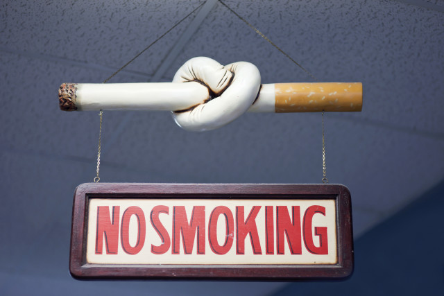 Can Smoking in Pregnancy Hurt the Smoker’s Grandchildren?