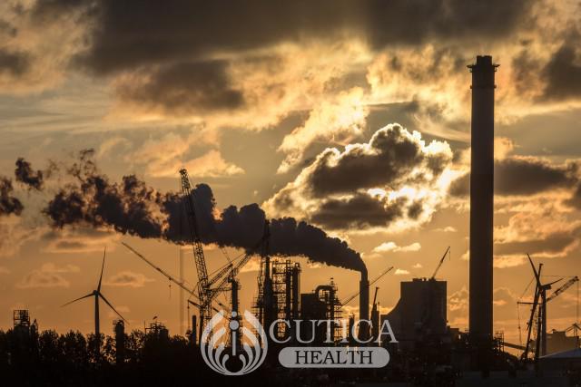 Lower Air Pollution Linked to Reduced Risk of Early Death