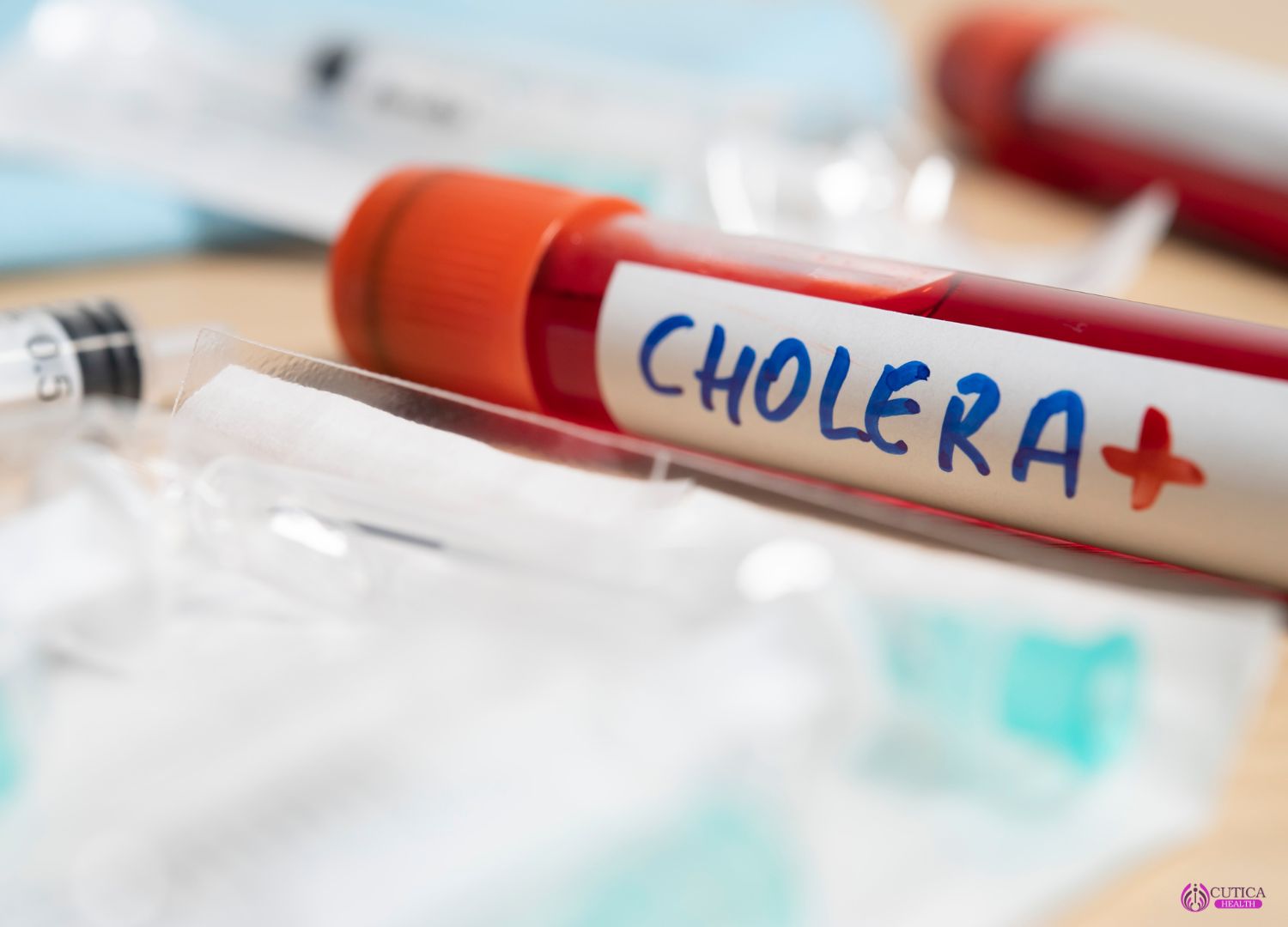 Understanding Cholera Outbreaks