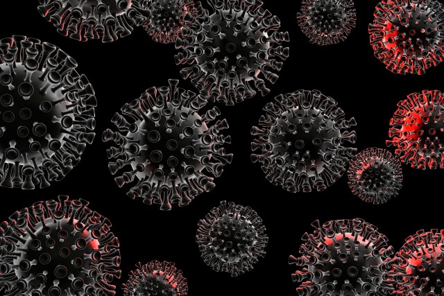 No Evidence that Coronavirus Mutations Increase its Transmissibility