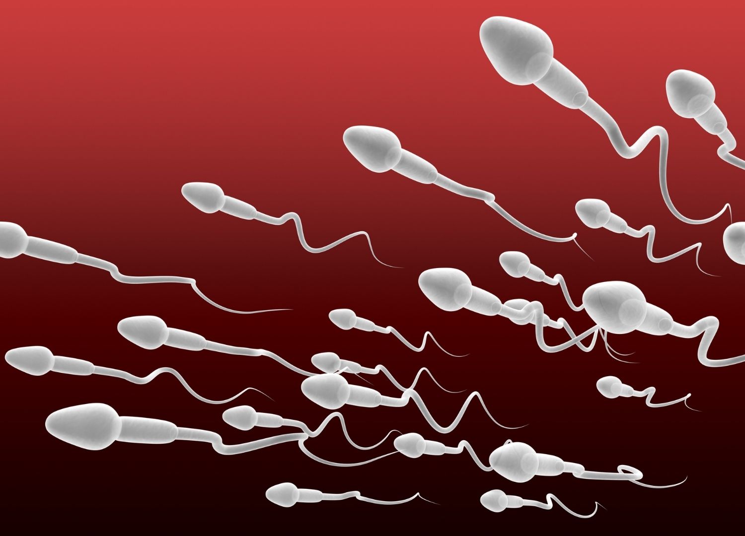 "Low sperm count: Causes and  solutions"